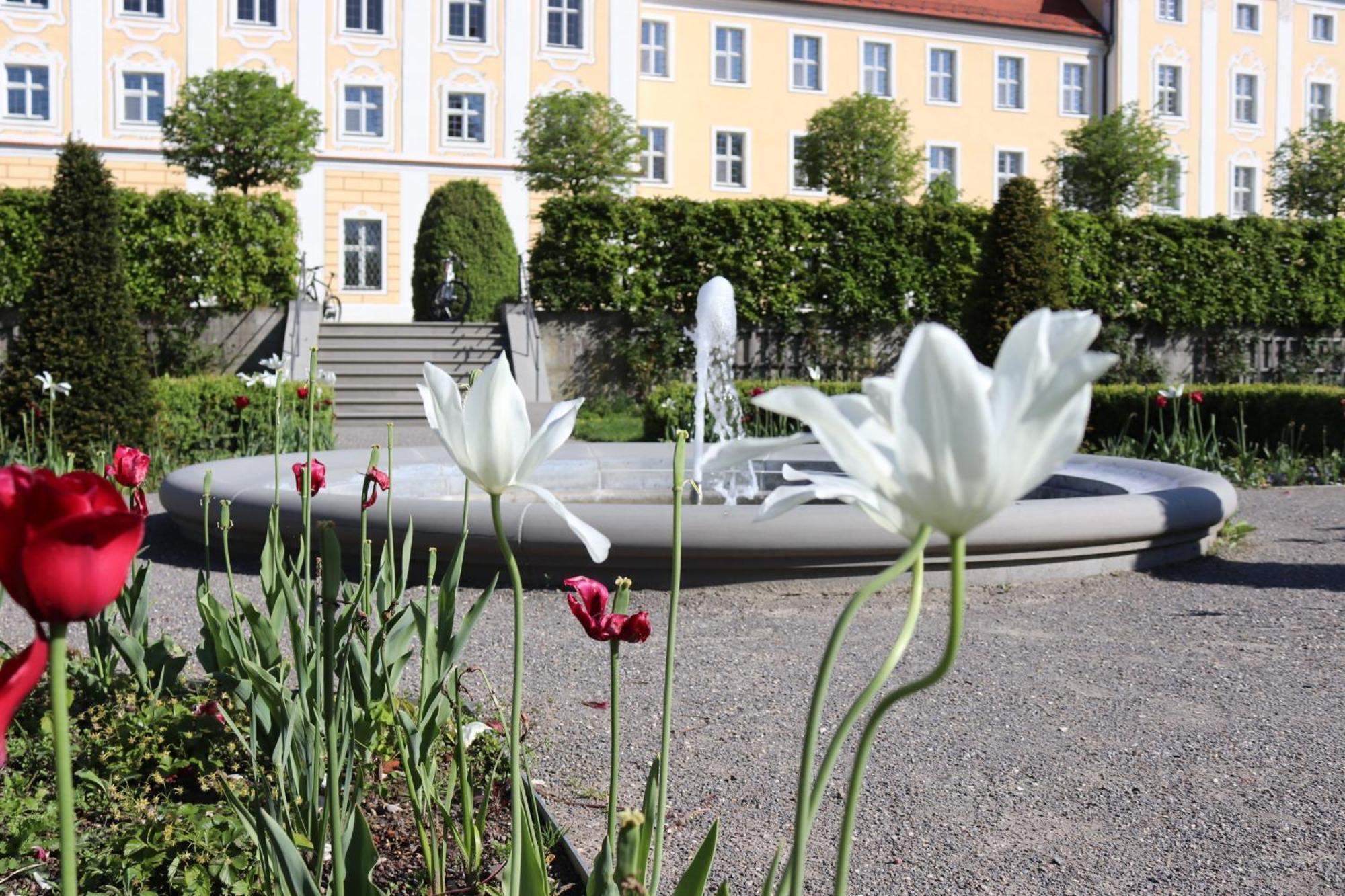 Klostergasthof Roggenburg Eksteriør billede