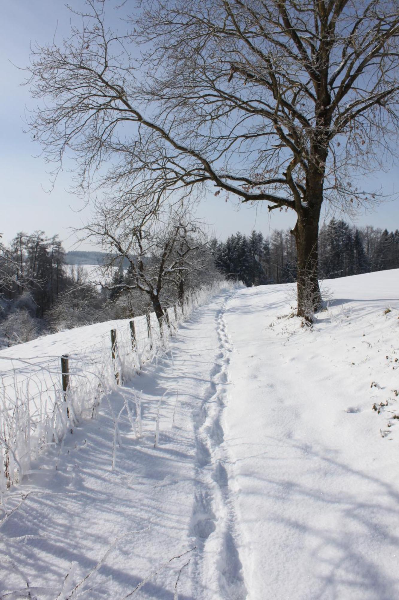 Klostergasthof Roggenburg Eksteriør billede